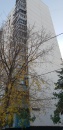г. Москва, ул. Удальцова, д. 89