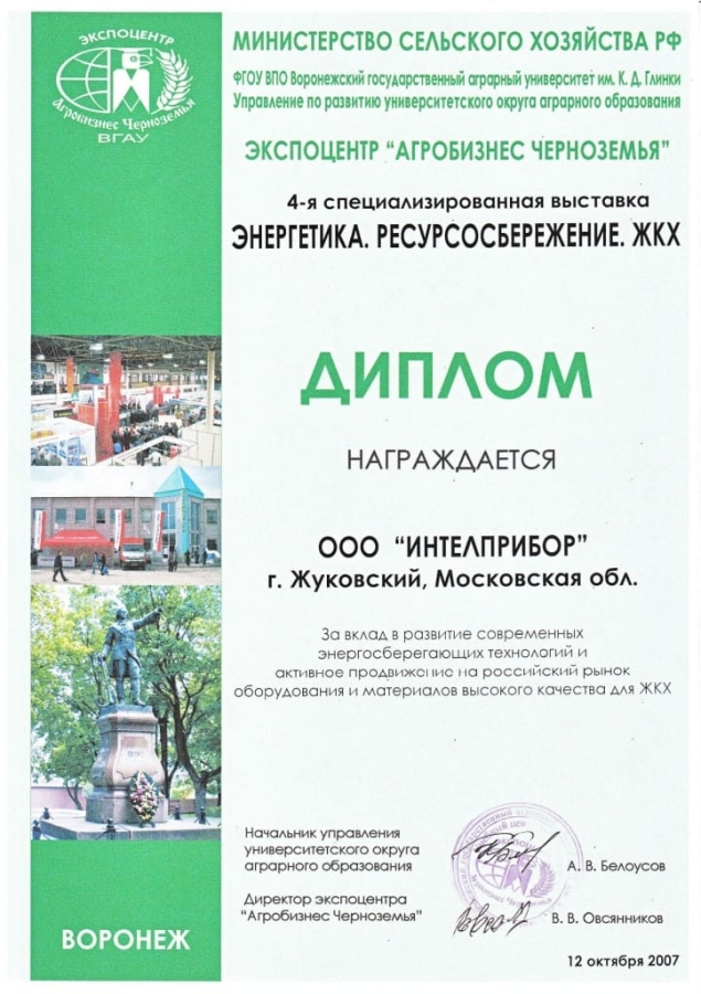 2007. Воронеж