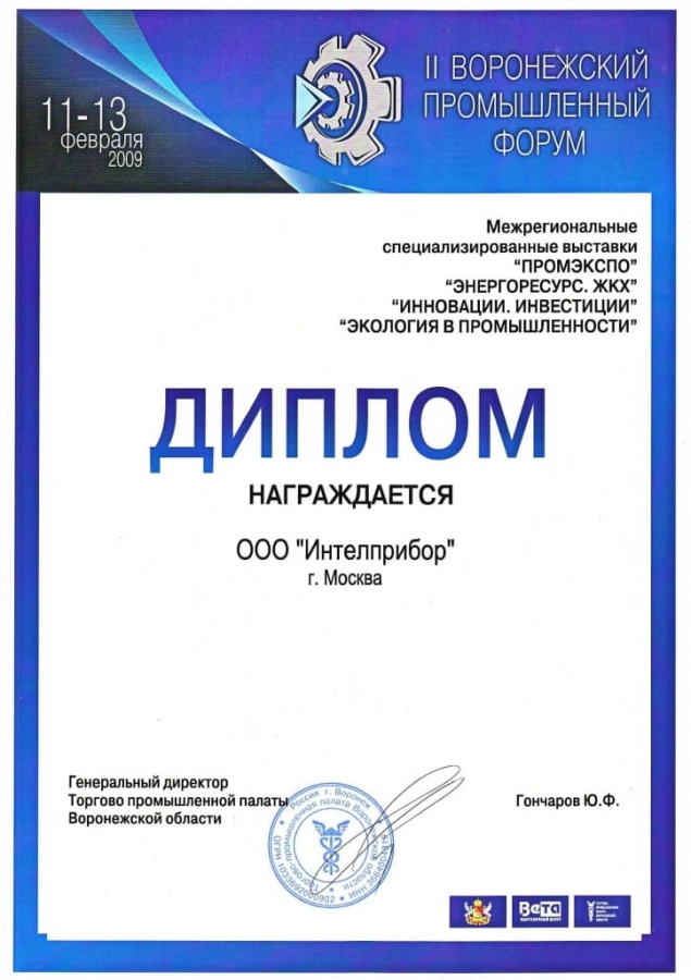 2009. Воронеж